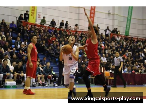 杏彩体育炽热篮球梦：NBA赛场上的荣耀与磨难 - 副本